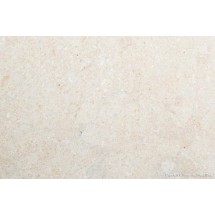 Salem Gold Tumbled Limestone Sample